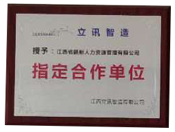 立讯智造指定合作单位